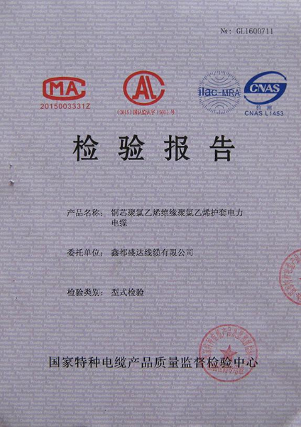 檢驗報告