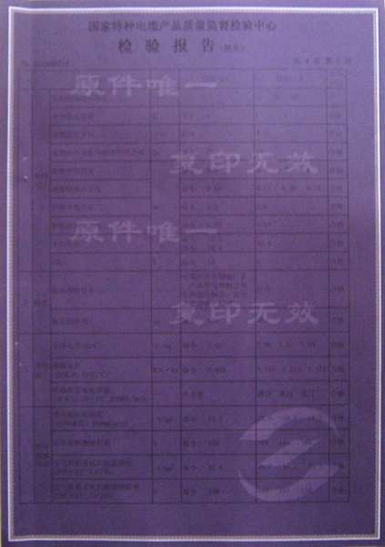 檢驗(yàn)報(bào)告
